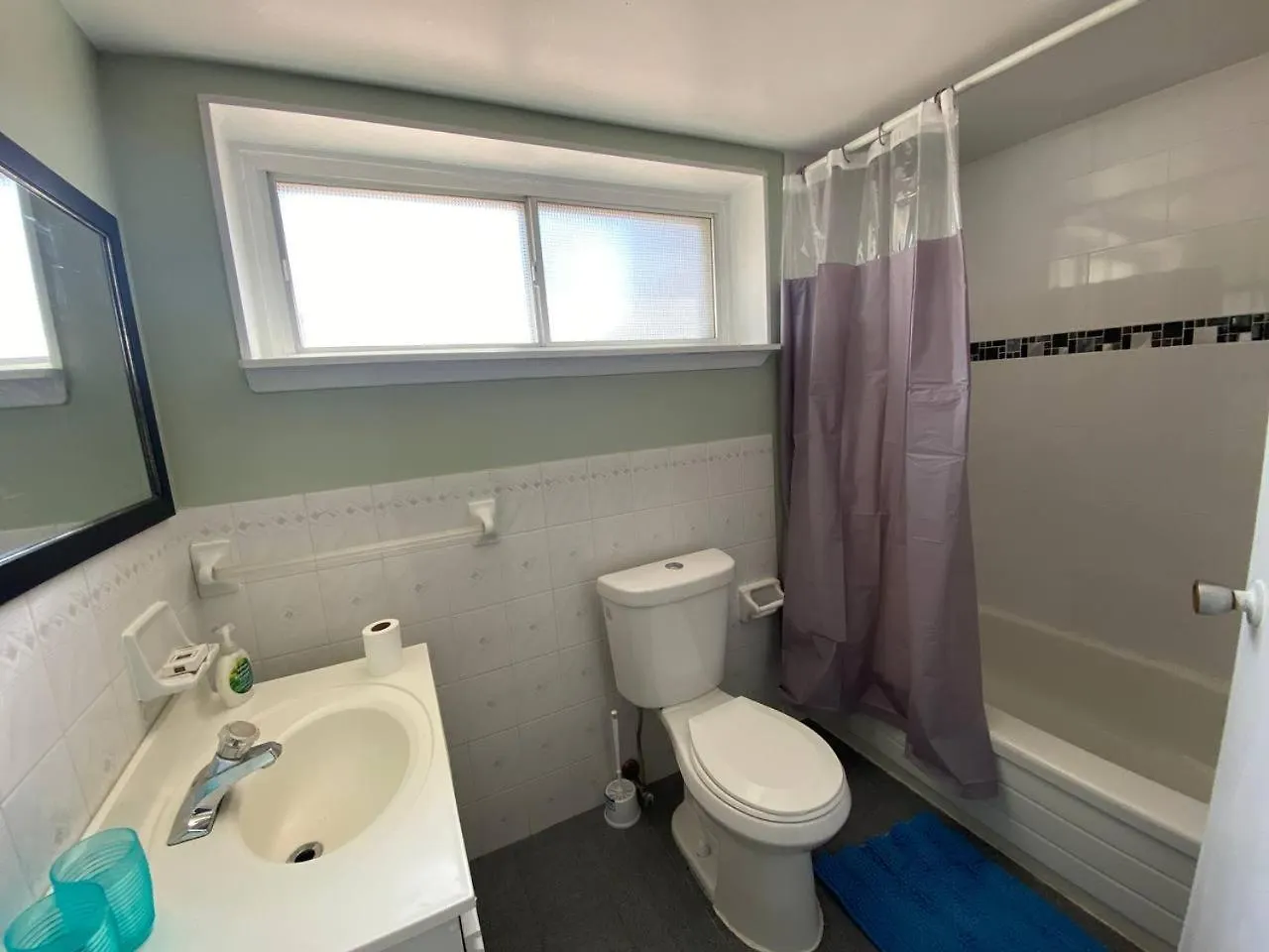 Private 1-Bedroom Basement Apt, 10 Min To Airport ,Big Windows, Separate Entrance Toronto 0*,