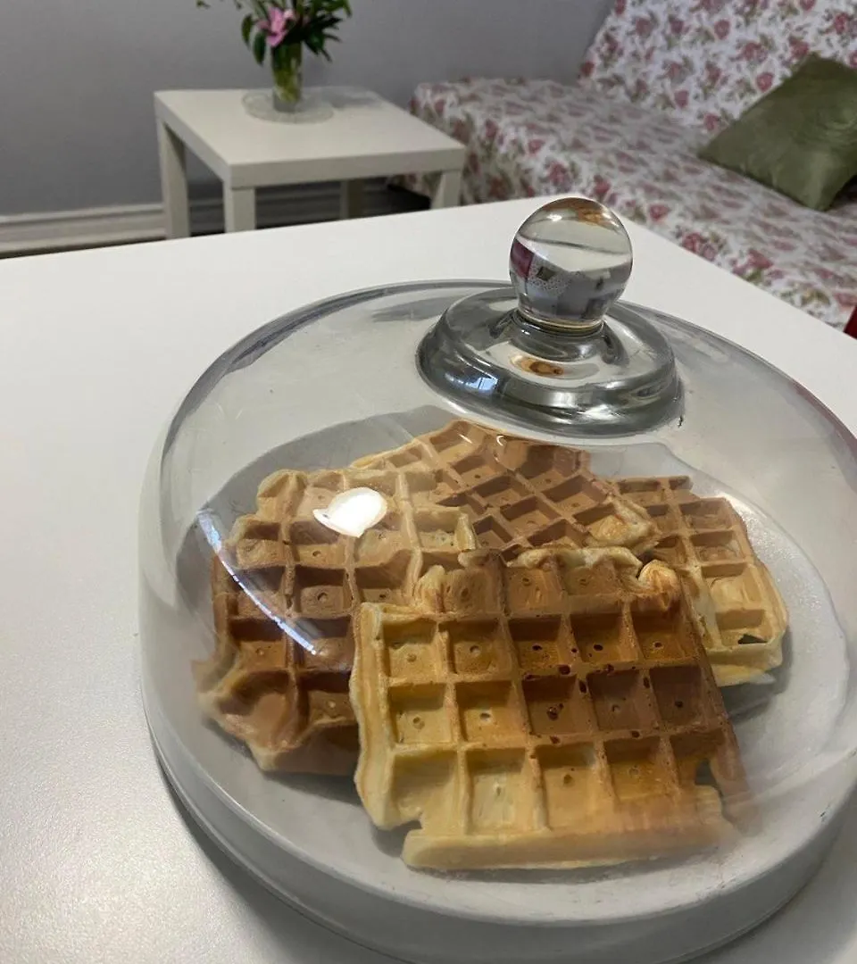 Private 1-Bedroom Basement Apt, 10 Min To Airport ,Big Windows, Separate Entrance 토론토 캐나다